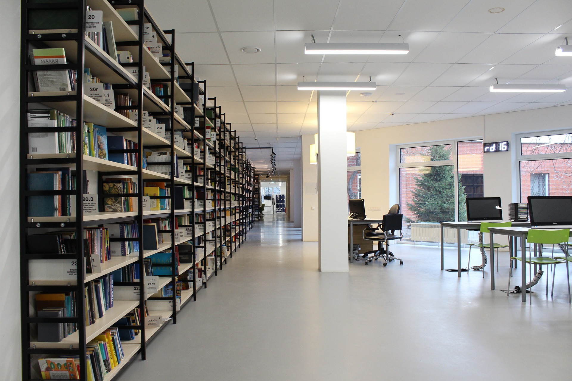 Bibliothek
